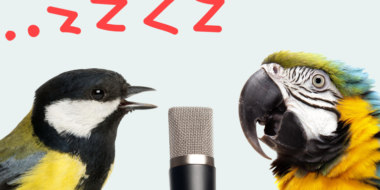 Slapen-voor-na-nachtdienst-ervaringen 