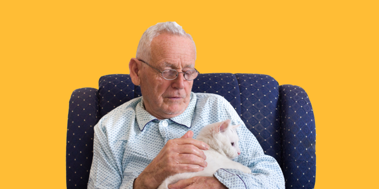Dieren-in-de-ouderenzorg-robotkat-aaien