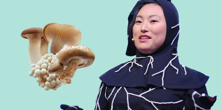 Alternatieven begraven cremeren champignonpak