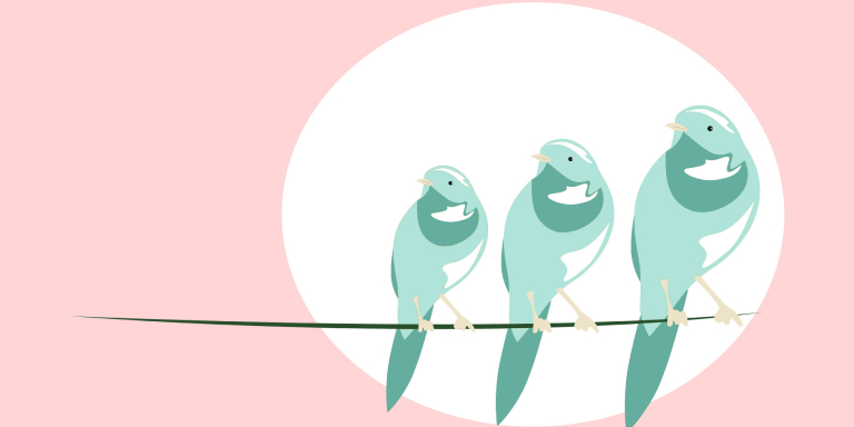 Anne - birds fly